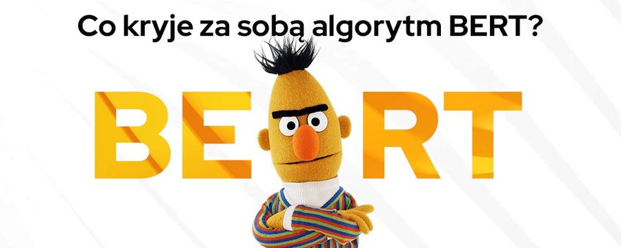 BERT. Czym jest, jak działa i jak wpływa na SEO algorytm Google?