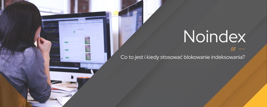 Co to jest noindex i kiedy go stosować?