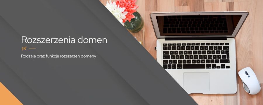 Rozszerzenia domen – jakie wybrać dla swojej strony?