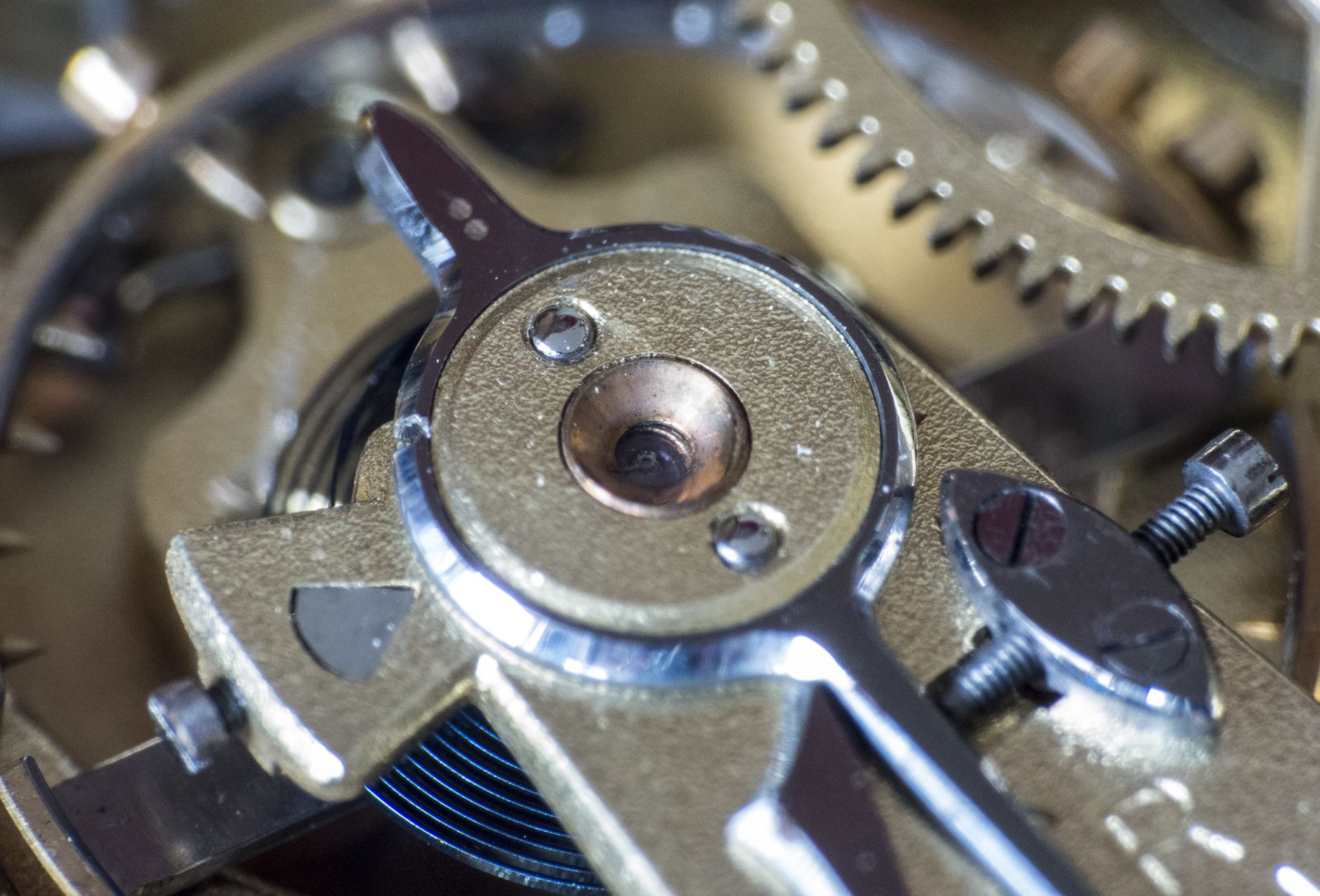 Makrofotografia mechanizmu zegarka, koła zębate i śruby