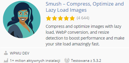 smush wtyczka pod seo